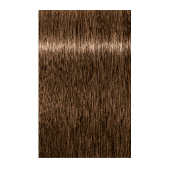 Schwarzkopf Igora Royal Absolutes 7-450