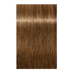 Schwarzkopf Igora Royal Absolutes 7-560